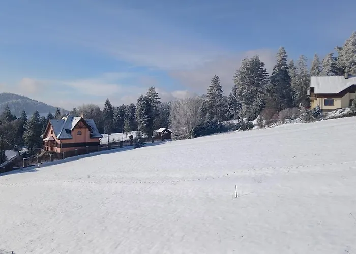 Ski-bike-hike 2,